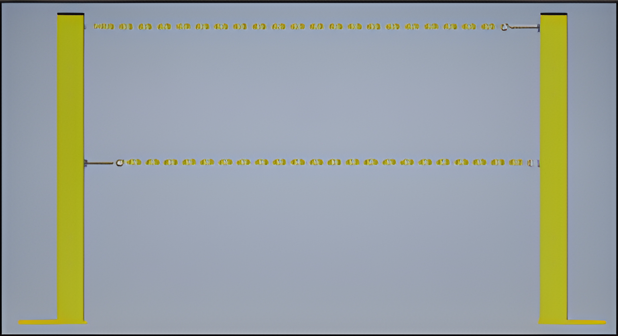 Dual Chain Dock Safety Barrier w/ Sentry Rail Column